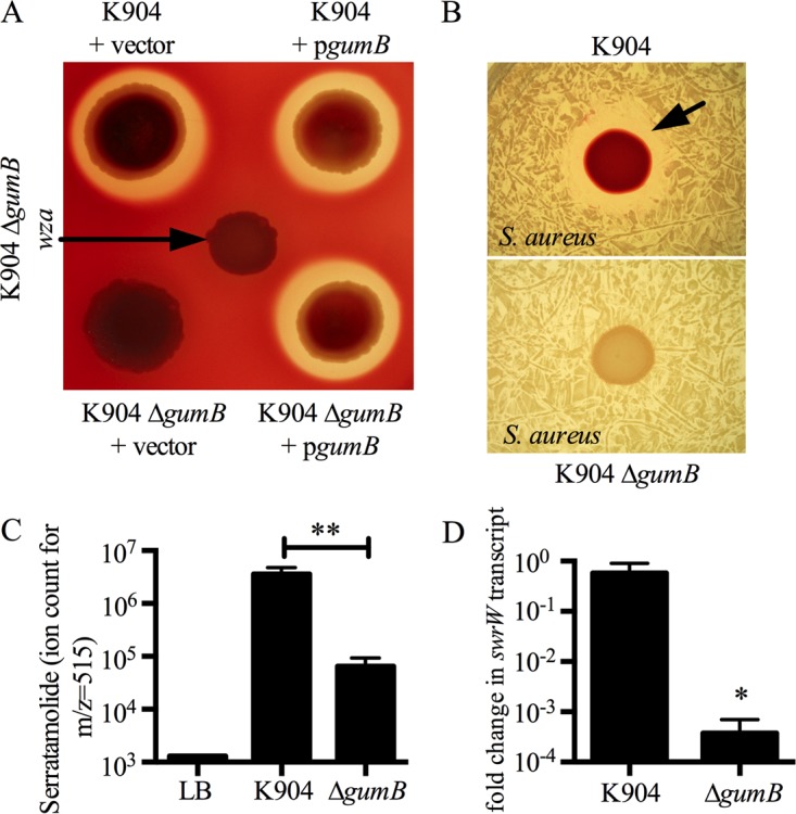 FIG 6