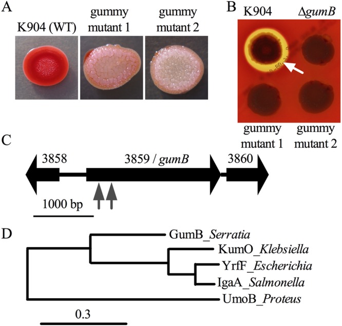 FIG 1