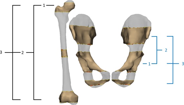 Fig 2