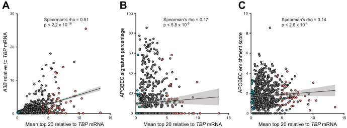 Figure 6—figure supplement 1.