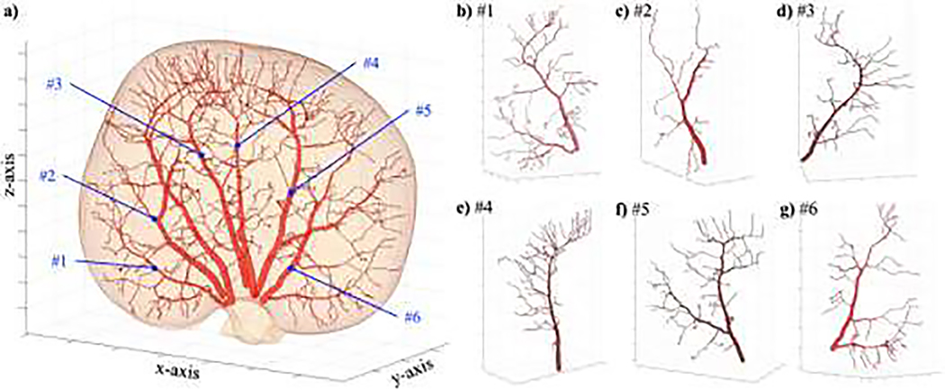 Figure 5: