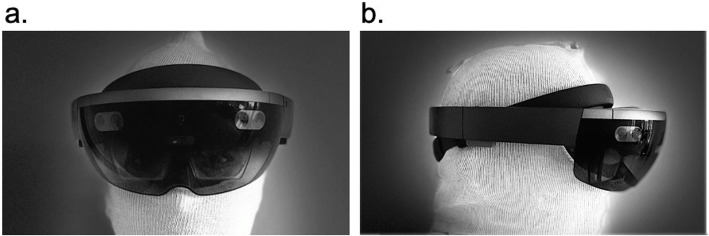 Fig. 1