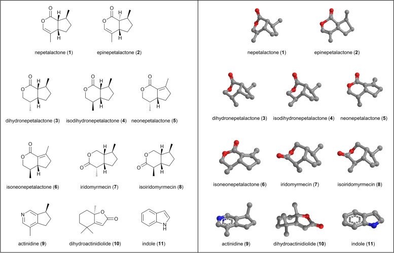 Fig. 13