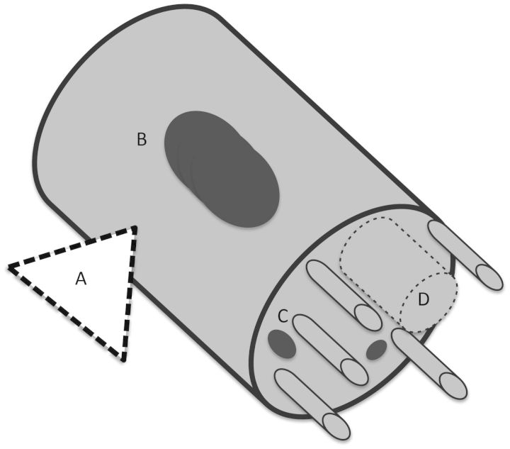 Fig. 6.