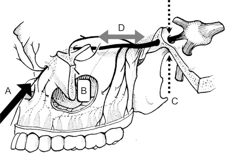 Fig. 7.