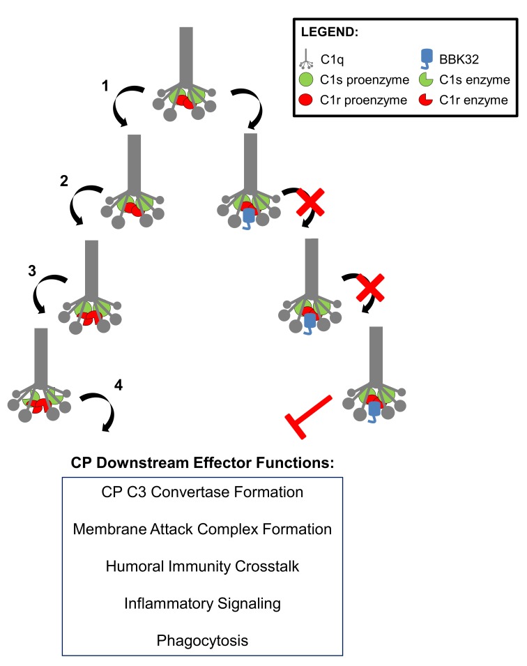 Fig 10