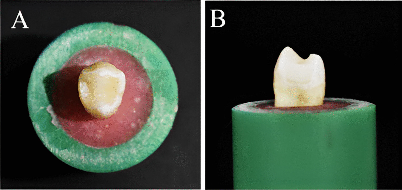 Fig. 6