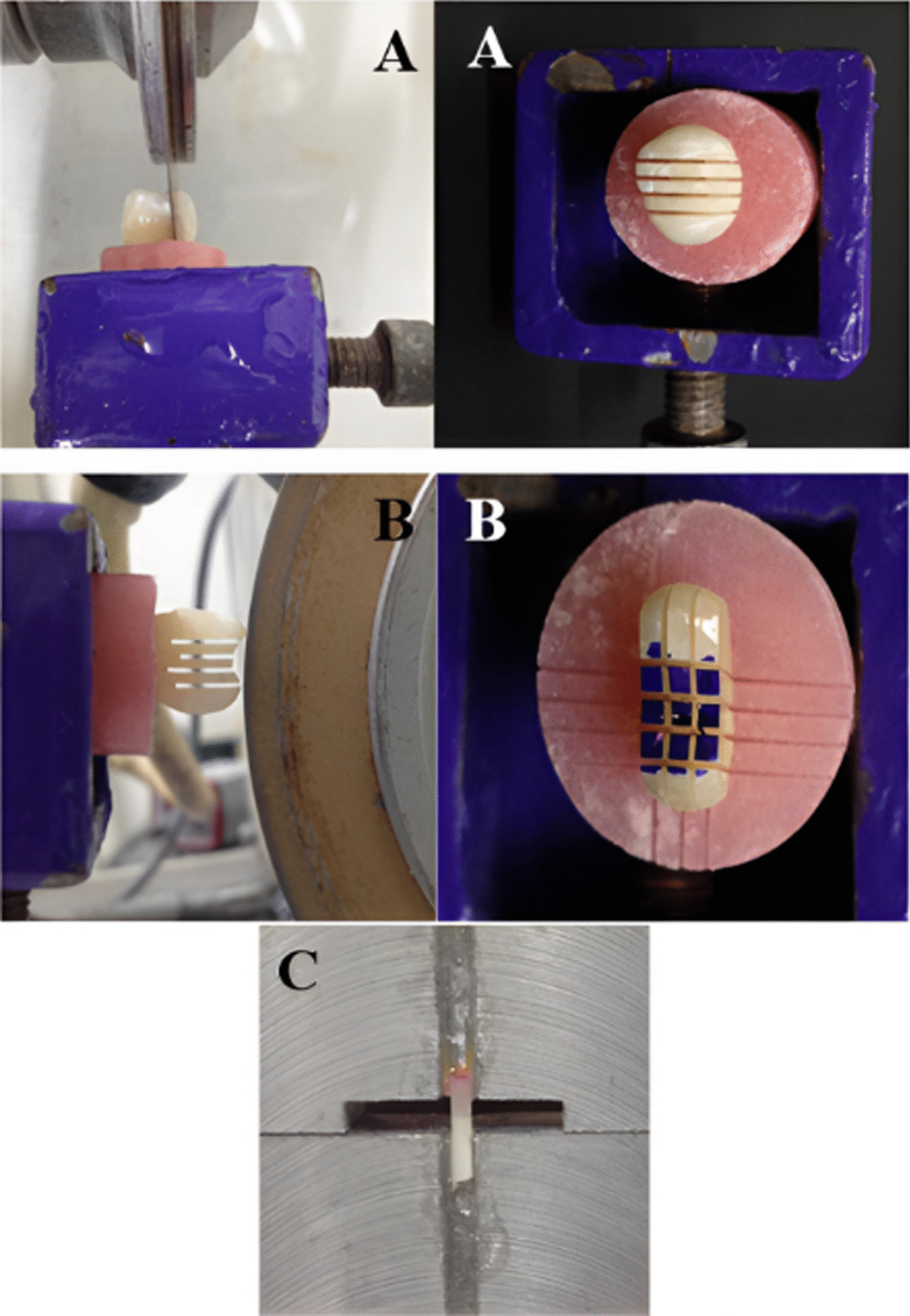 Fig. 7