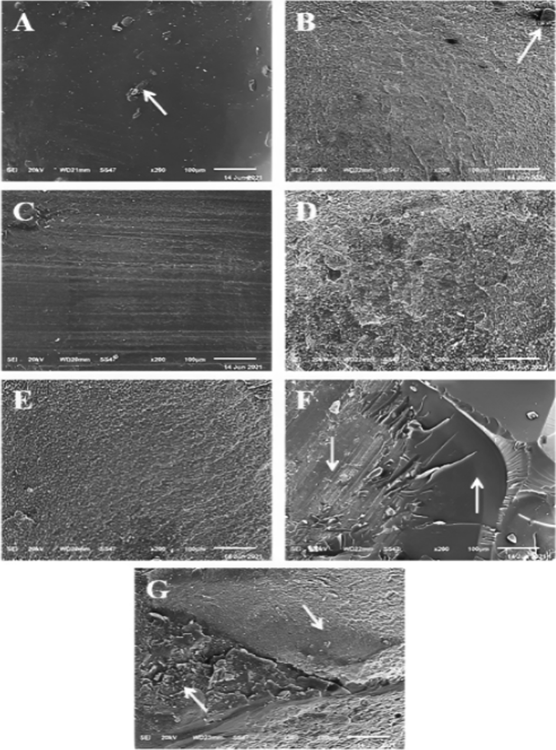 Fig. 10