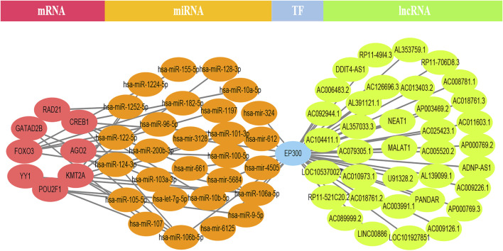 FIGURE 4