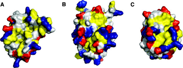 Figure 3.