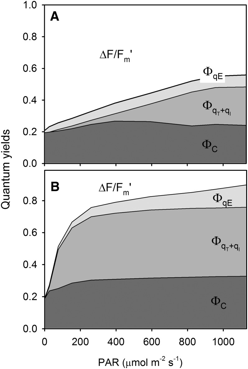 Figure 9.