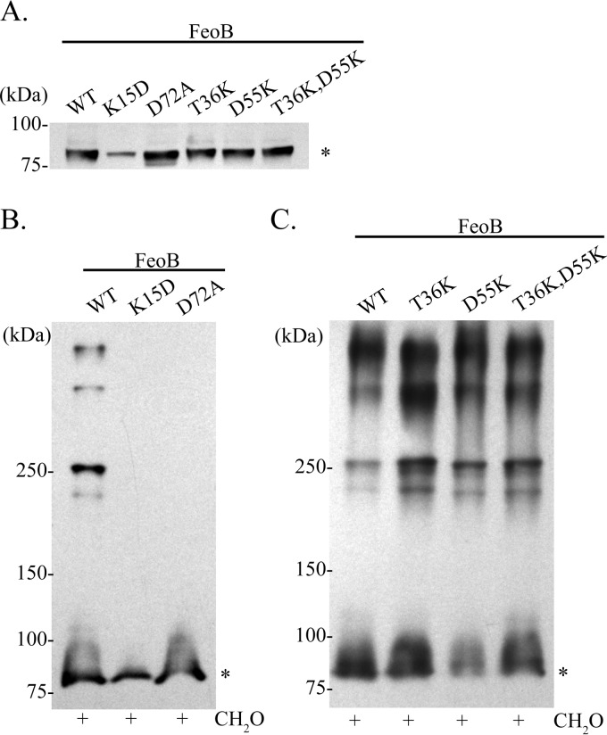 FIG 6