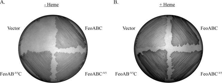 FIG 2