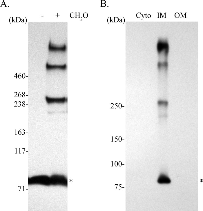 FIG 3