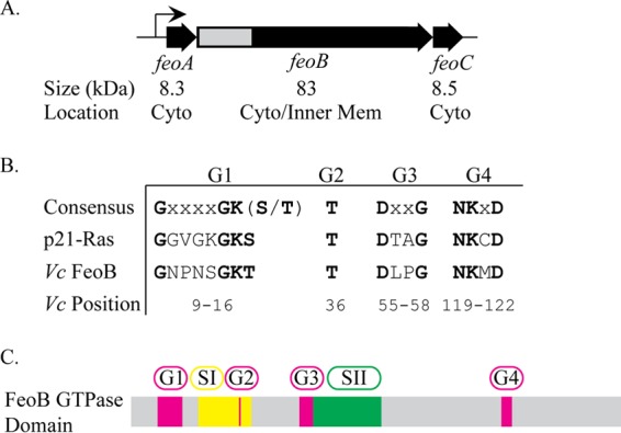 FIG 1