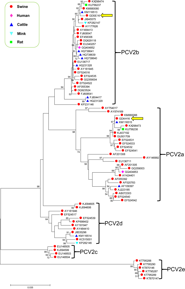 Fig. 1