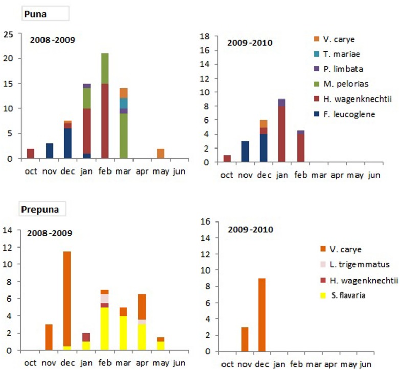 FIGURE 3