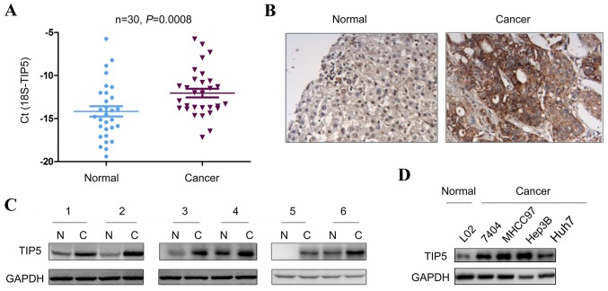 Figure 2.