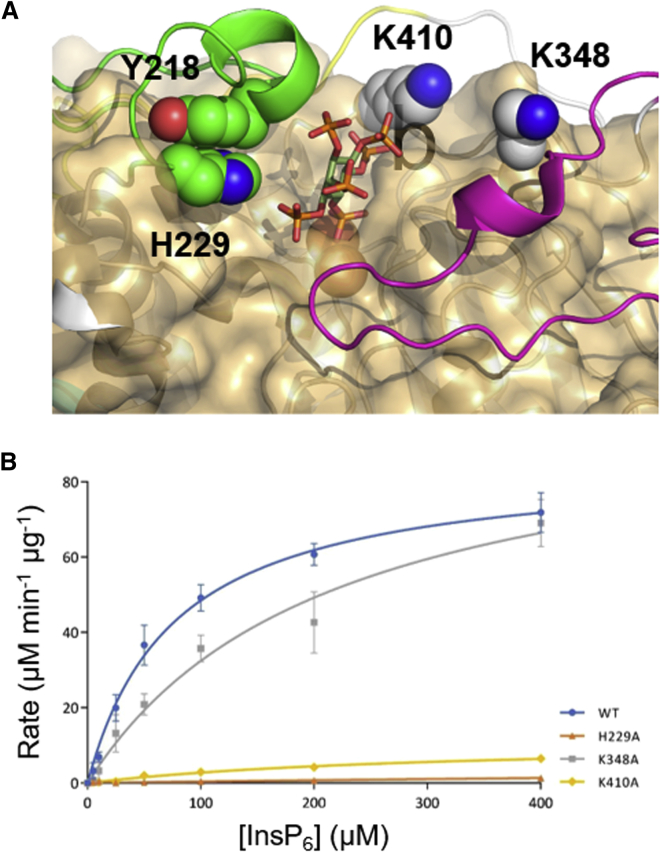 Figure 4