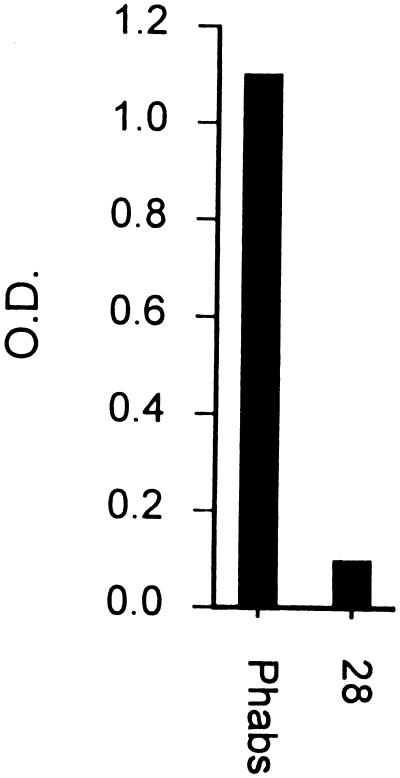 FIG. 5