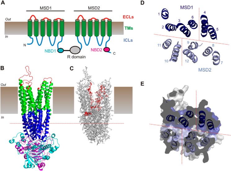 FIGURE 1.