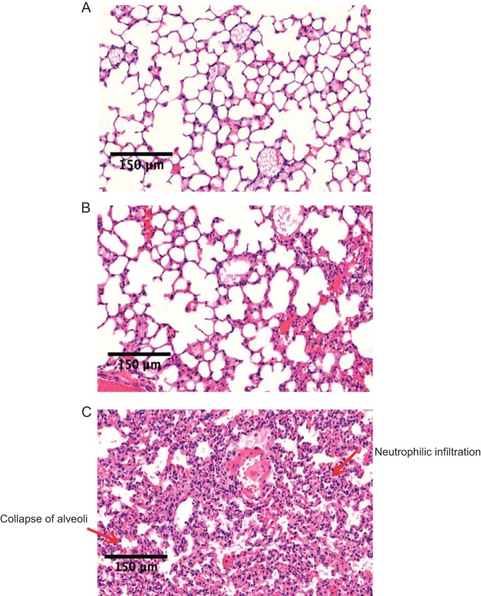 FIG 3