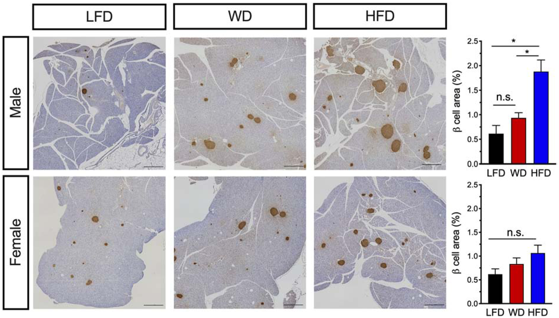 Figure 6: