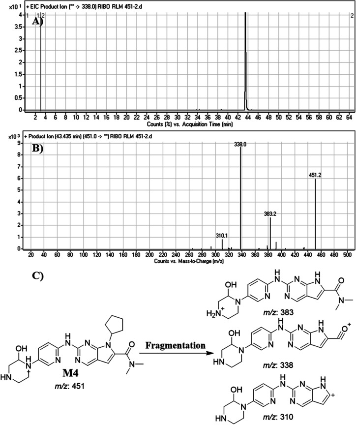Fig. 8