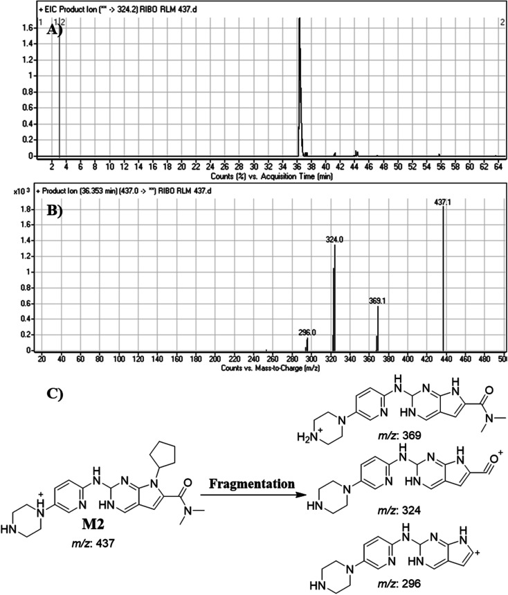 Fig. 6