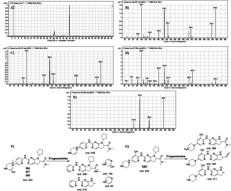 Fig. 10