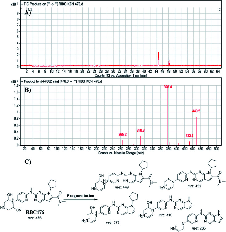 Fig. 11