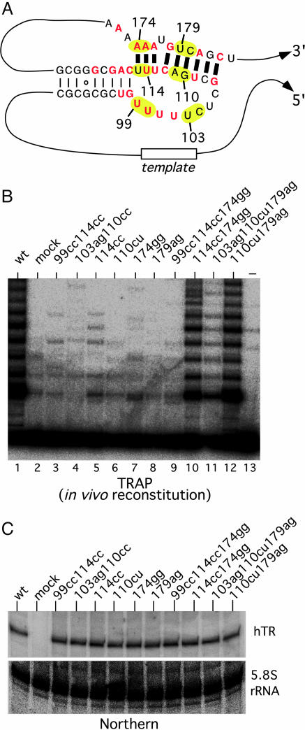 Fig. 4.