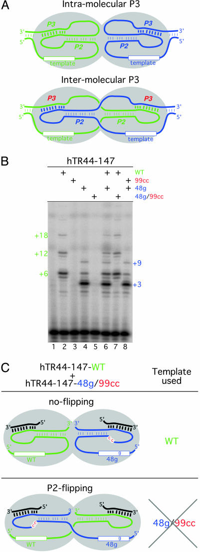 Fig. 5.