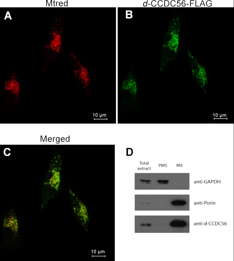 FIGURE 2.