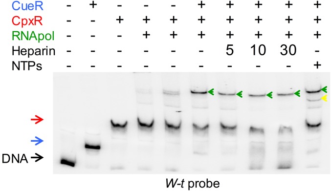 Fig. S6.