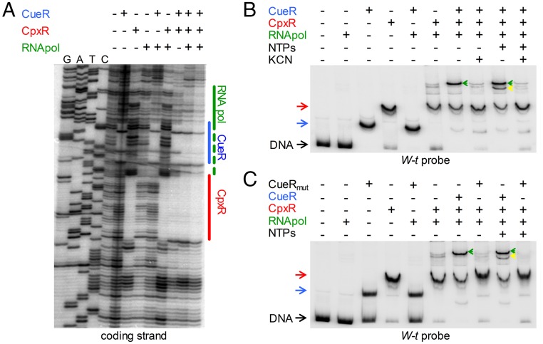 Fig. 3.