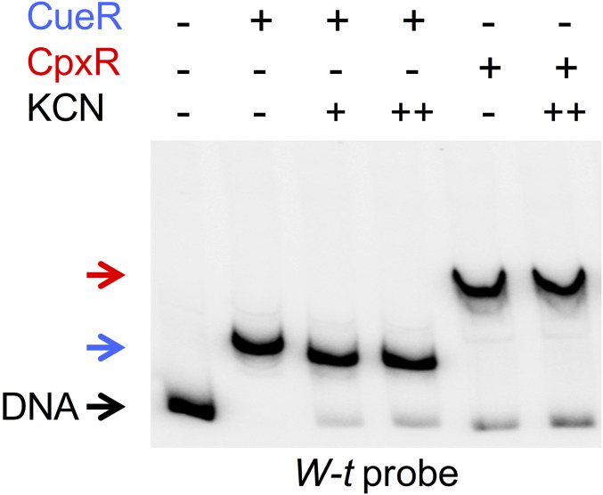 Fig. S7.