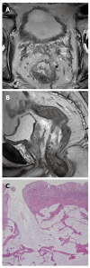 Figure 15