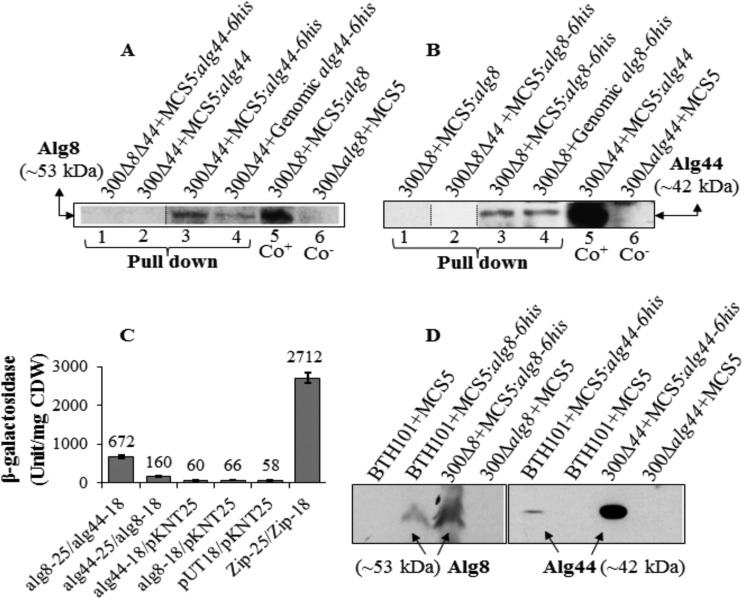 FIG 1 