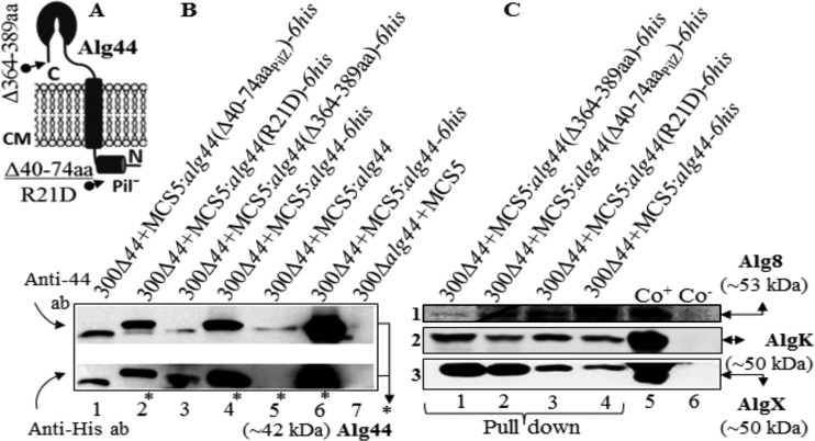 FIG 3 