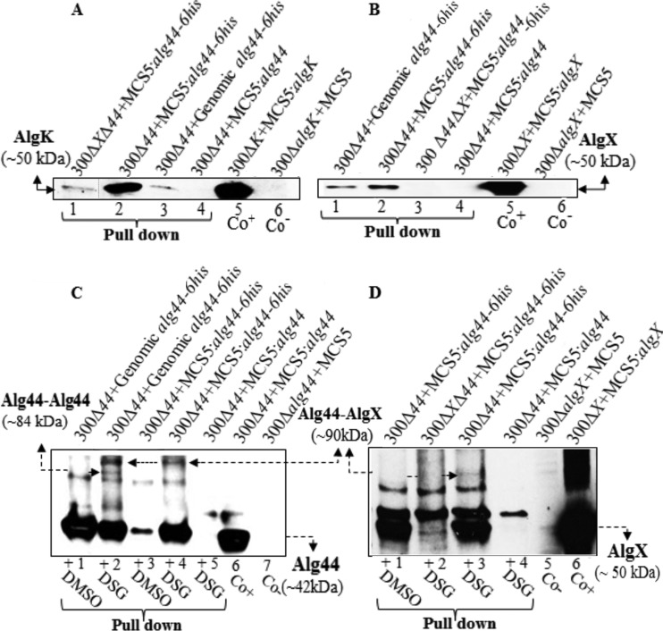 FIG 2 