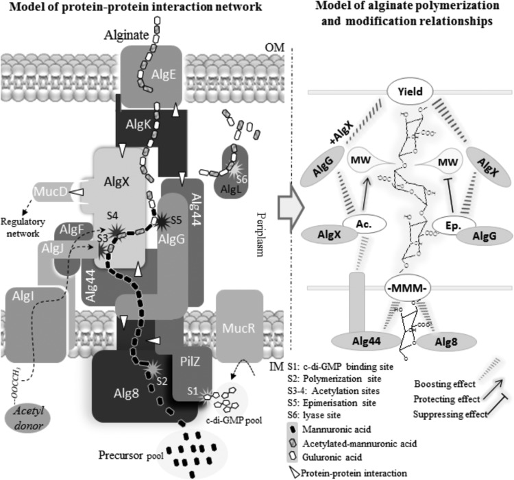 FIG 10 