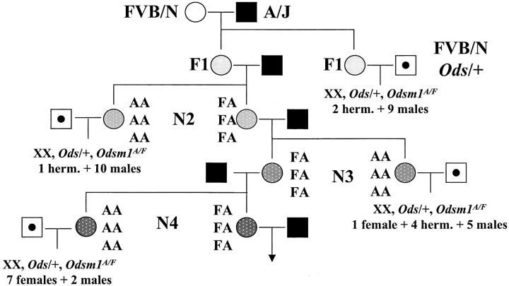 Figure 1.—