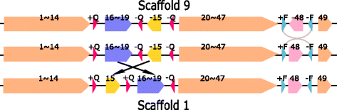 Fig. 10