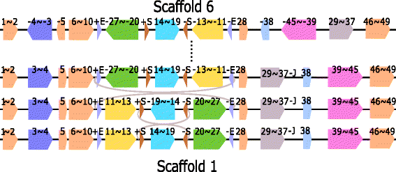Fig. 9