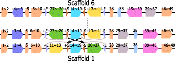 Fig. 8