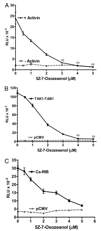 Fig. 5