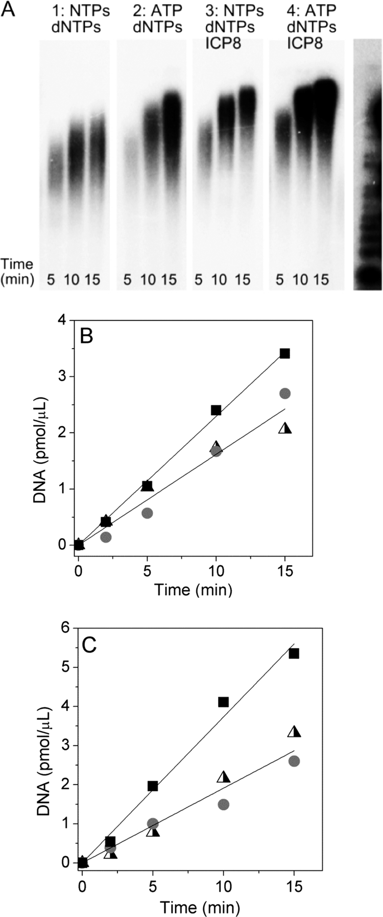 FIG. 6.