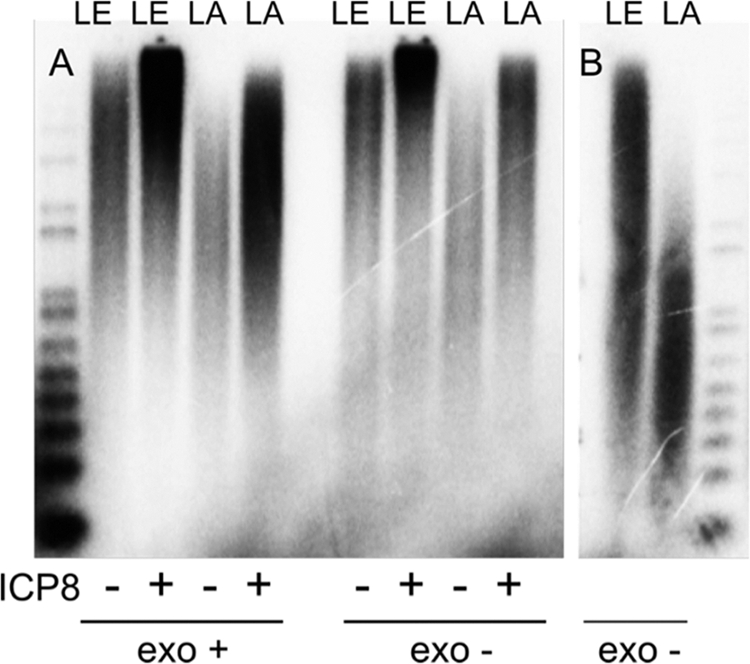 FIG. 8.